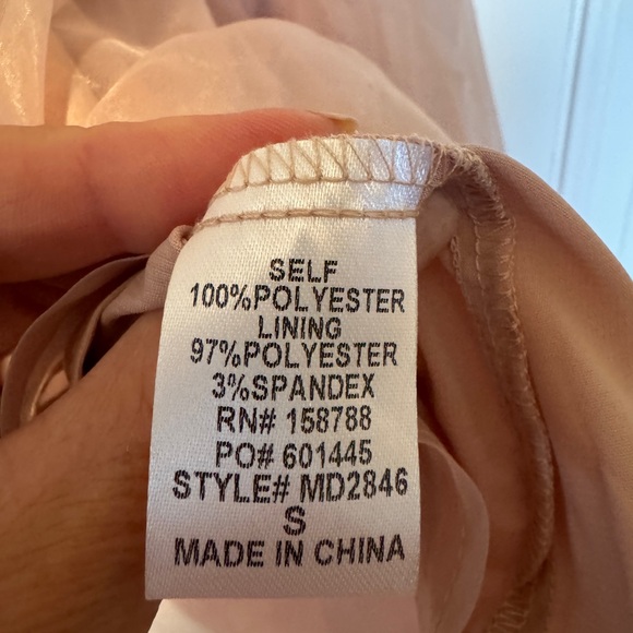 Lizard Thicket Blush Sheer Dress - Picture 5 of 6